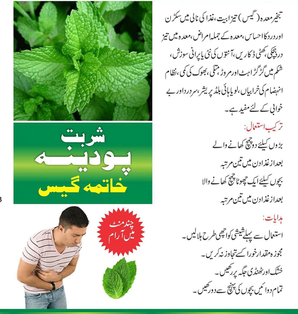 Sharbat Podina Uses In Urdu, Benefits for Heart Burn, Side Effects شربت پودینا معدہ کی تیزابیت کی وجہ سے تکالیف کیلئے فوائد