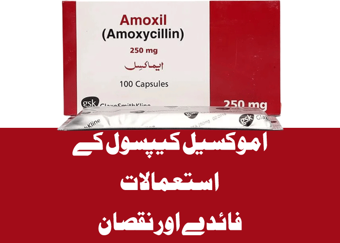 Amoxil Capsule Uses in Urdu and اموکسیل Amoxicillin Dosage