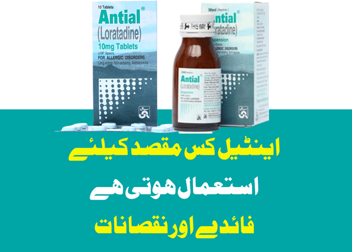 Antial Tablet Uses In Urdu, اینٹیل Loratadine 10mg Dose & Side Effects