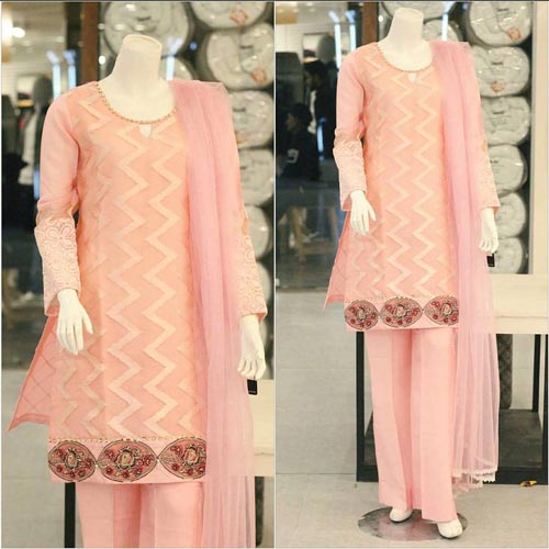 Net Dresses Designs 2017 2018, Net Frocks Gowns, Shalwar Kameez Pink