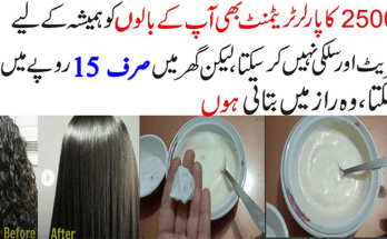 Benefits of Aloe Vera and Coconut Oil for Your Hair