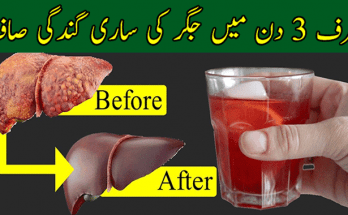 Fatty Liver and Natural Liver Cleansing: Your Path to Wellness