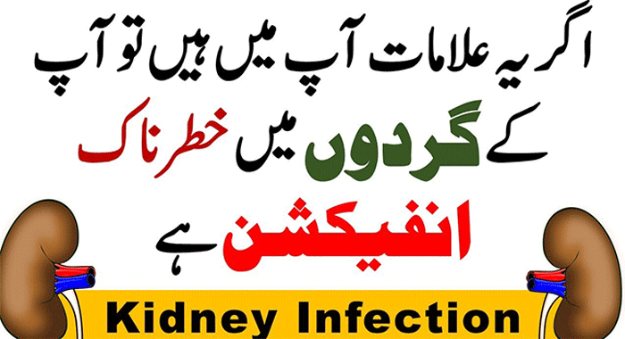 Urinary Tract Infection (UTI) Causes