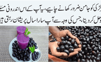 Black Plum Jamun Health Benefits and Its Uses