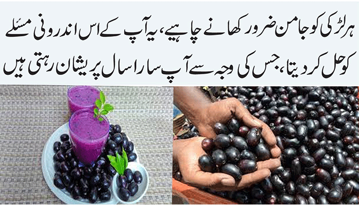 Black Plum Jamun Health Benefits and Its Uses