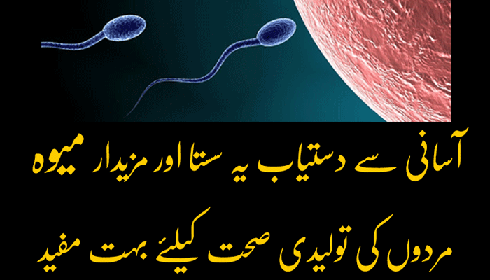 Male Fertility is Declining Worldwide