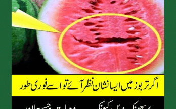 watermelon-benefits-12
